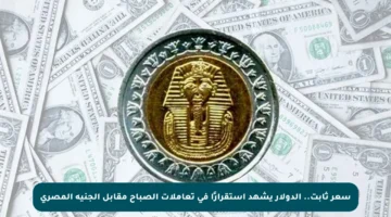 سعر ثابت.. الدولار يشهد استقرارًا في تعاملات الصباح مقابل الجنيه المصري